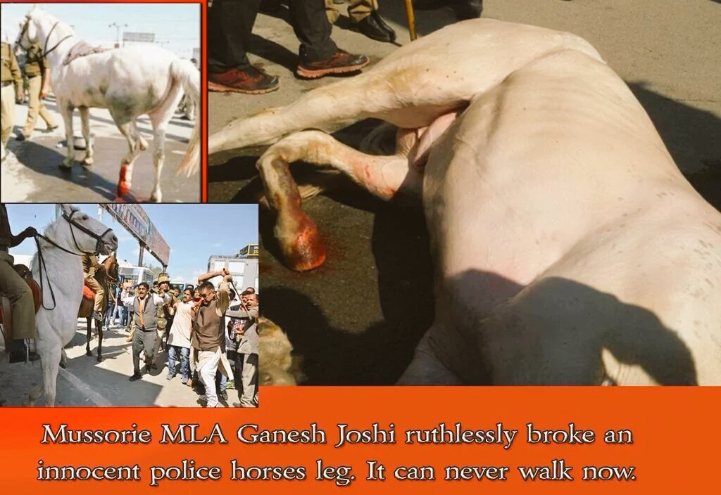 geetv79's tweet photo. Bharat Mata ki Jai !!
GauMata ki Raksha
Ghodon ki Hatya
Garibon ki Atmahatya
DeshBhakt ki Pitayi
Bhumi ki Lootayi https://t.co/8deW3uUk9R