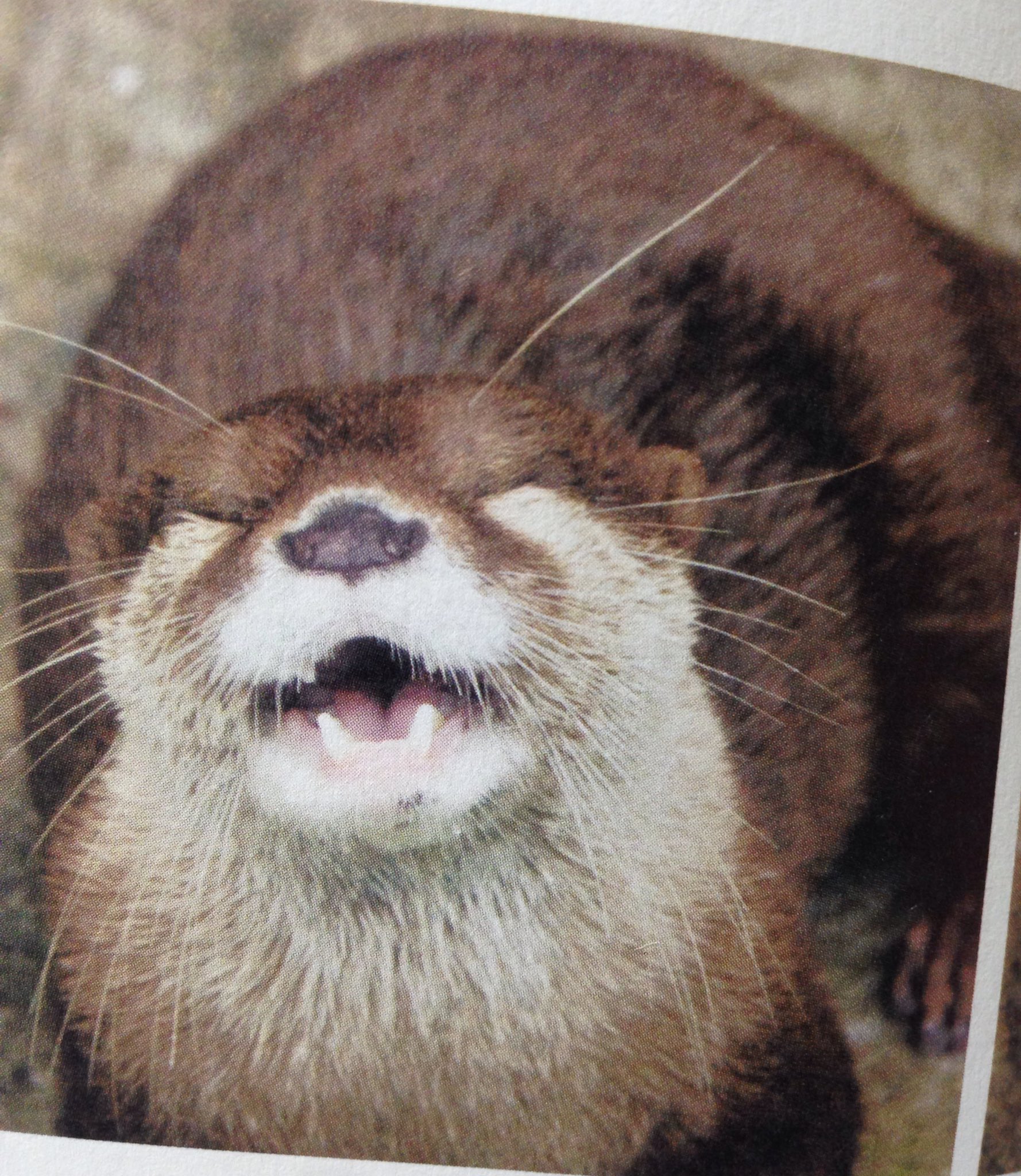 諏訪彩花 Auf Twitter このあとはfm佐久平にて 30から 諏訪彩花のざっくば らん 始まります O Pc スマホどちらでも視聴出来ますので こっちのラジオもぜひ聴いてね Byスワウソ T Co Tjmurvea4y T Co Ninqn5uwjg