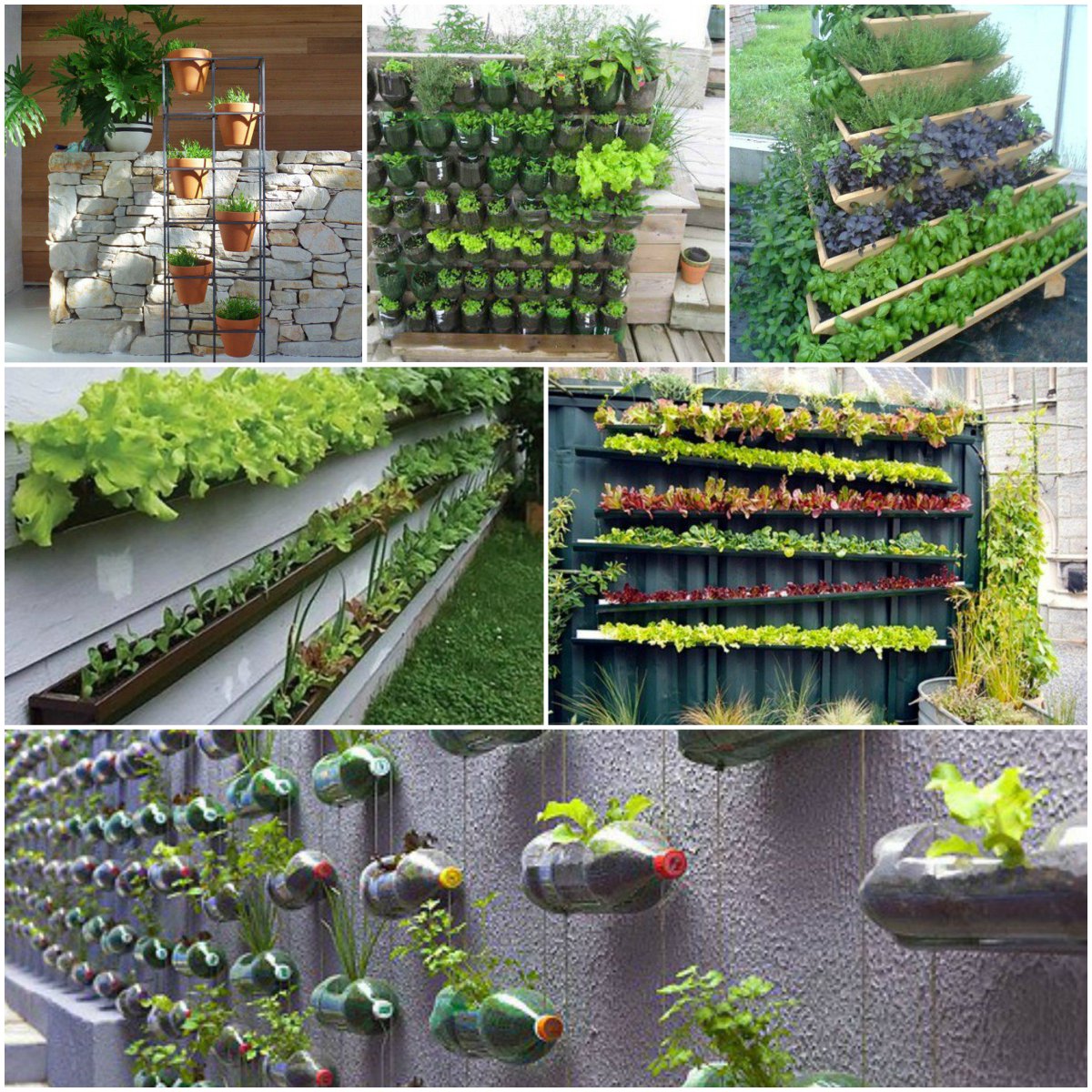 CProiect's tweet image. Voi ce credeți despre grădinile verticale?