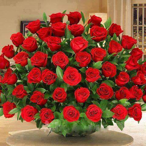 GhafranWarrich's tweet photo. https://t.co/q9g0z7yHyn