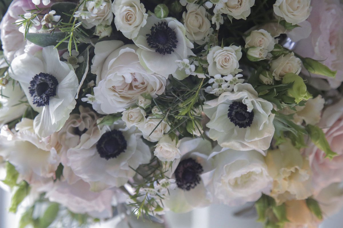 mcqueensflowers's tweet photo. What on earth would we do without flowers? https://t.co/Ff6nzbw25h