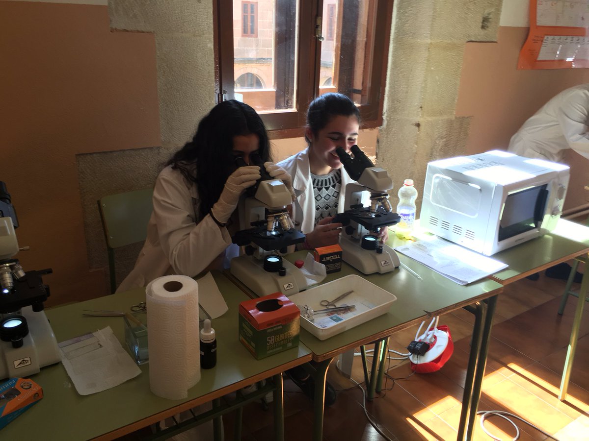 iesmachado's tweet photo. Hoy 'Feria de la ciencia' con 4º ESO. Compartimos experiencia con @iespolisoria e @IESV_Espino #EdPública https://t.co/WoJbYGtBCQ