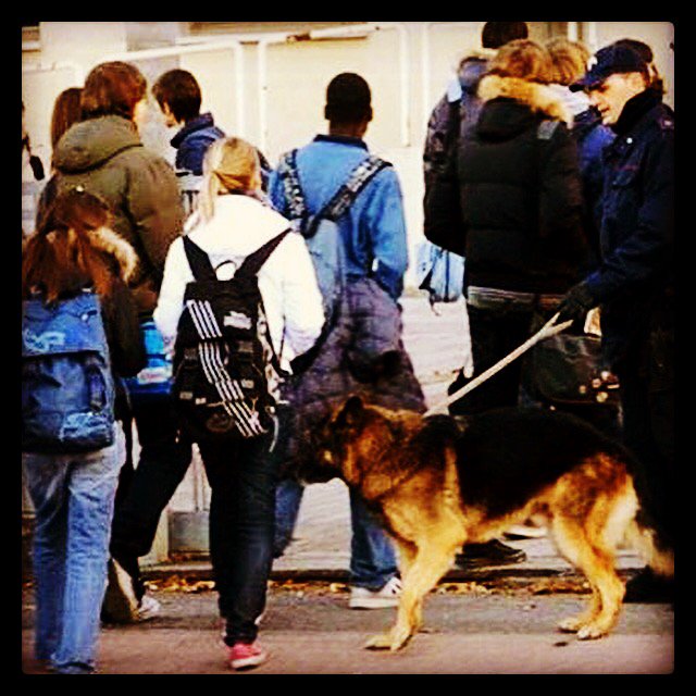 AdaTalarico's tweet image. #Bologna cani antidroga e polizia nelle scuole/Cose da non fare a scuola bit.ly/1plgVhg