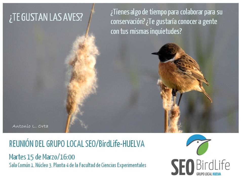 seohuelva's tweet photo. Somos #Conservación, Somos #Divulgación, Somos #Concienciación,Somos #Pasión, Somos #SEO/BirdLife-#HUELVA. https://t.co/ewUCZqZzId