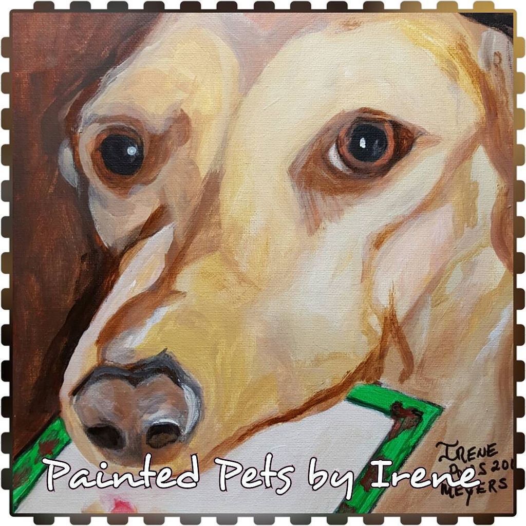 #yellowlab ##yellowlabrador #yellowlabs #yellowlaboftheday #petportait #pets #dogartists #dogart
#dogarts #petporta…