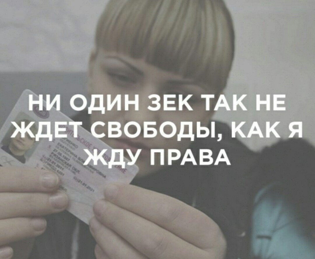 Путник ада наша лада