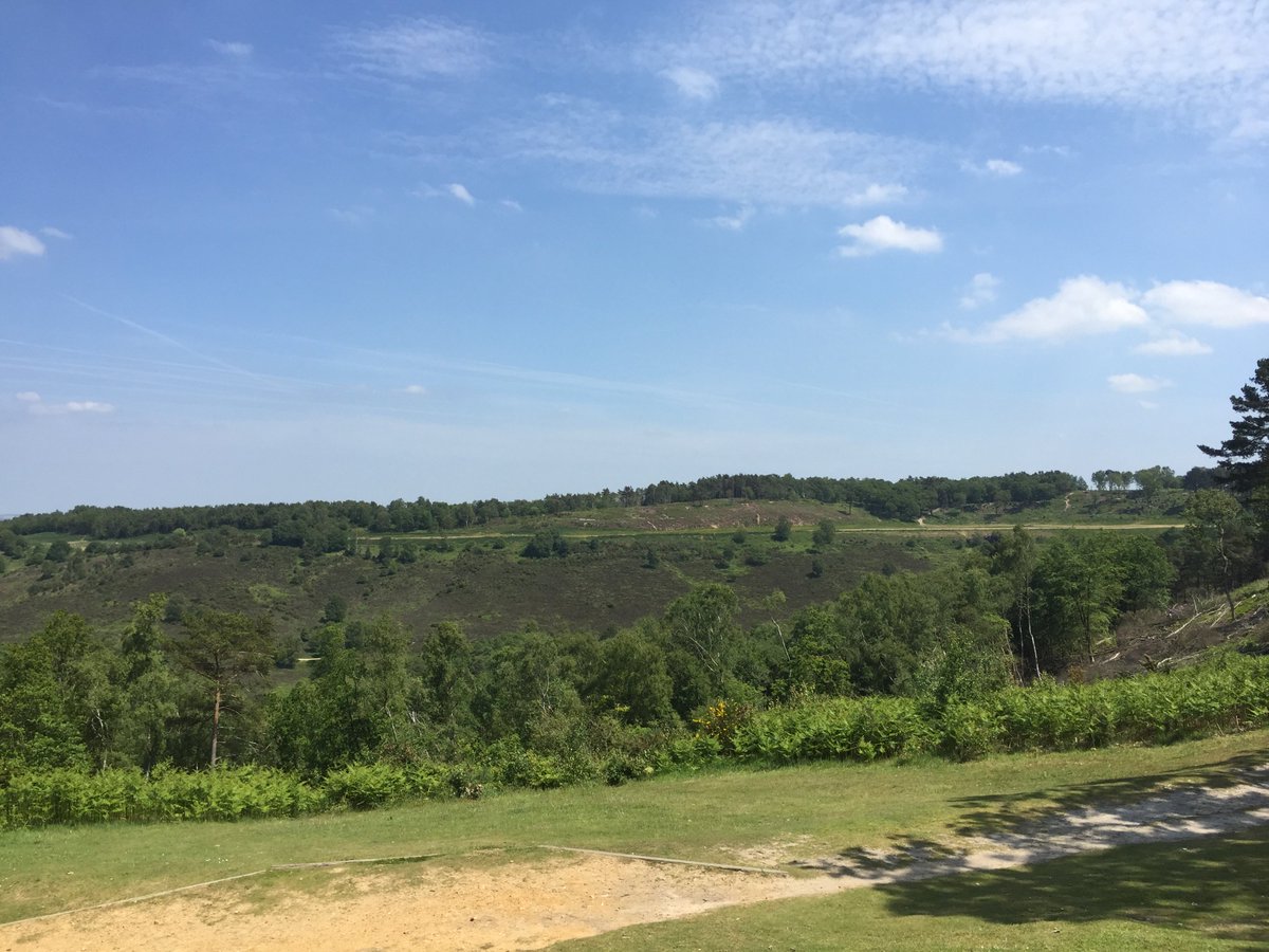 #r2vine <a href="/theJeremyVine/">Jeremy Vine | Here, on Tiktok, Insta & Facebook</a> <a href="/BBCRadio2/">BBC Radio 2</a> Hindhead Tunnel The old A3 is now a lovely place with lots of nature returning