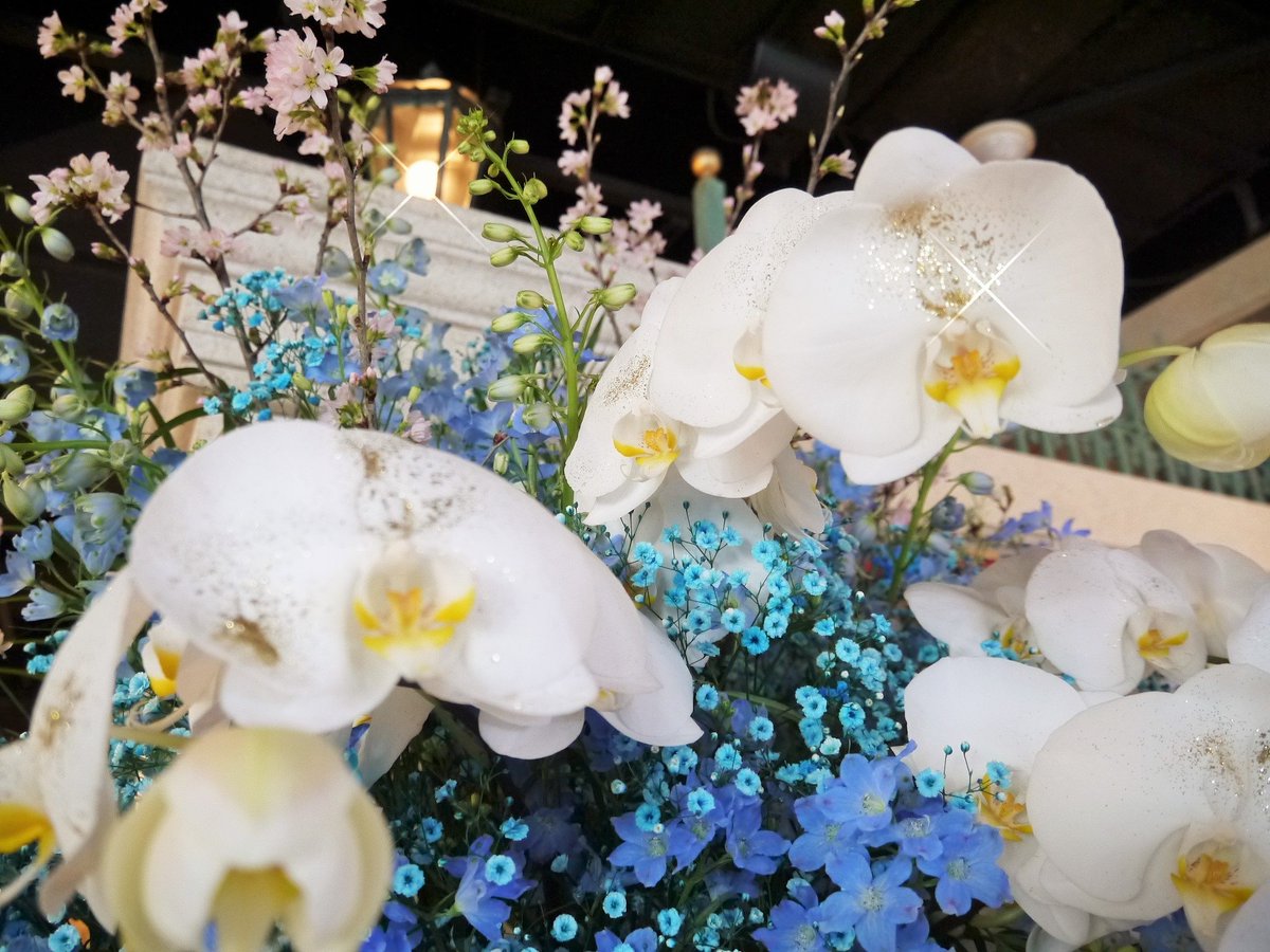 ট ইট র めぐみこ お花屋さん 素晴らしかった 山下ゆかりちゃんのお花をクローズアップ スタンド花は青い空に桜の花が卒業を意味 しています 中央にはラメでキラキラした胡蝶蘭の花が舞うように 青い花束は無限の未来に飛び立つ鳥のようにフェザーに覆