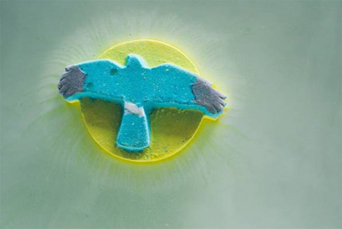 FANTASTIC NEWS <a href="/lushcosmetics/">Lush North America</a> stores raises £100k to satellite tag Hen Harriers bit.ly/1nL71nO