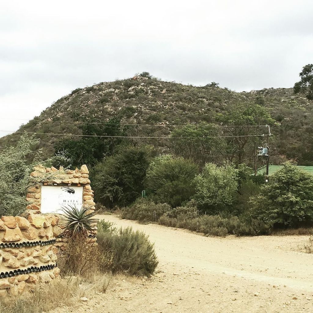 AmusingMeow's tweet image. Site visit for Sunday's beautiful wedding surrounded by the raw beauty of nature. #wedding… ift.tt/1WnfPfP