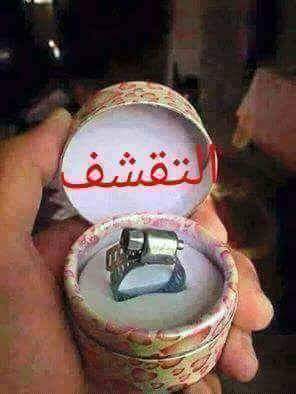 halrfay2's tweet image. 