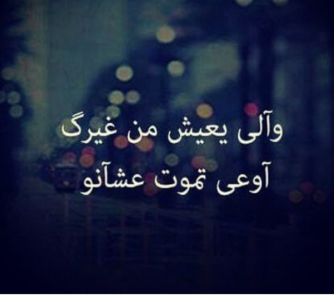 👑 عـــروسـة الـبــحــر 👑®🧜‍♀️ (@roby_2018) on Twitter photo 