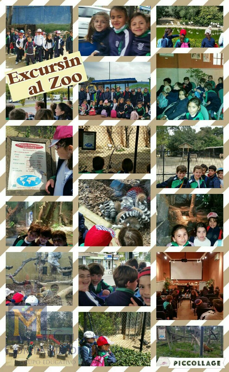 1°de Primaria visita el Zoo Botánico de Jerez. ¡Cómo han disfrutado aprendiendo sobre los animales en 1ª persona!