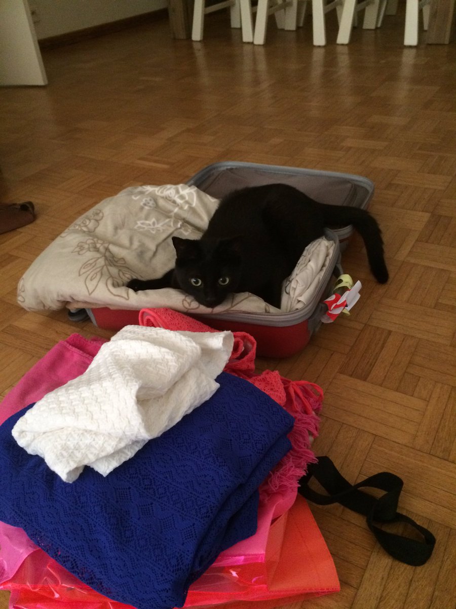 Nobody moves... #vorstlockdown #boris