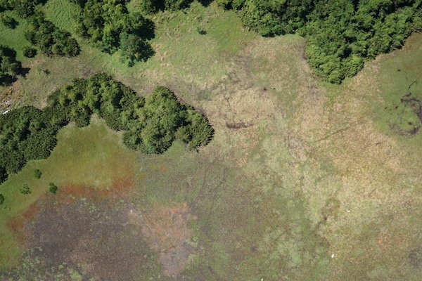 CaribeWaveFWI's tweet photo. Les dronistes sont partis à l'aube pour photographier plus de 150 hectares de l'île de Marie-Galante #caribewave https://t.co/aBuKie2l1Z