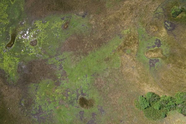 CaribeWaveFWI's tweet photo. Les dronistes sont partis à l'aube pour photographier plus de 150 hectares de l'île de Marie-Galante #caribewave https://t.co/aBuKie2l1Z