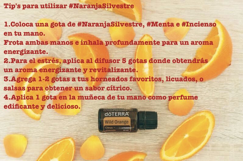 doTerraQro's tweet photo. Tips para utilizar #AceiteEsencial #doTerra #NaranjaSilvestre https://t.co/fFb5DzAdmJ