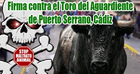 PTCAnimalista's tweet photo. https://t.co/vfYkAp3g0B FIRMA CONTRA EL TORO DEL AGUARDIENTE , ABOLICIÓN !! https://t.co/RwHTxoG5Ri