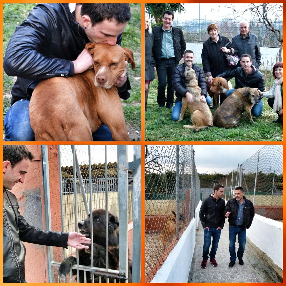 DANIROVIRA's tweet photo. La Protectora de Sabadell es un lugar maravilloso del mundo. 
Si quieres adoptar: protectora@protectorasabadell.org https://t.co/n28FuAC7DW