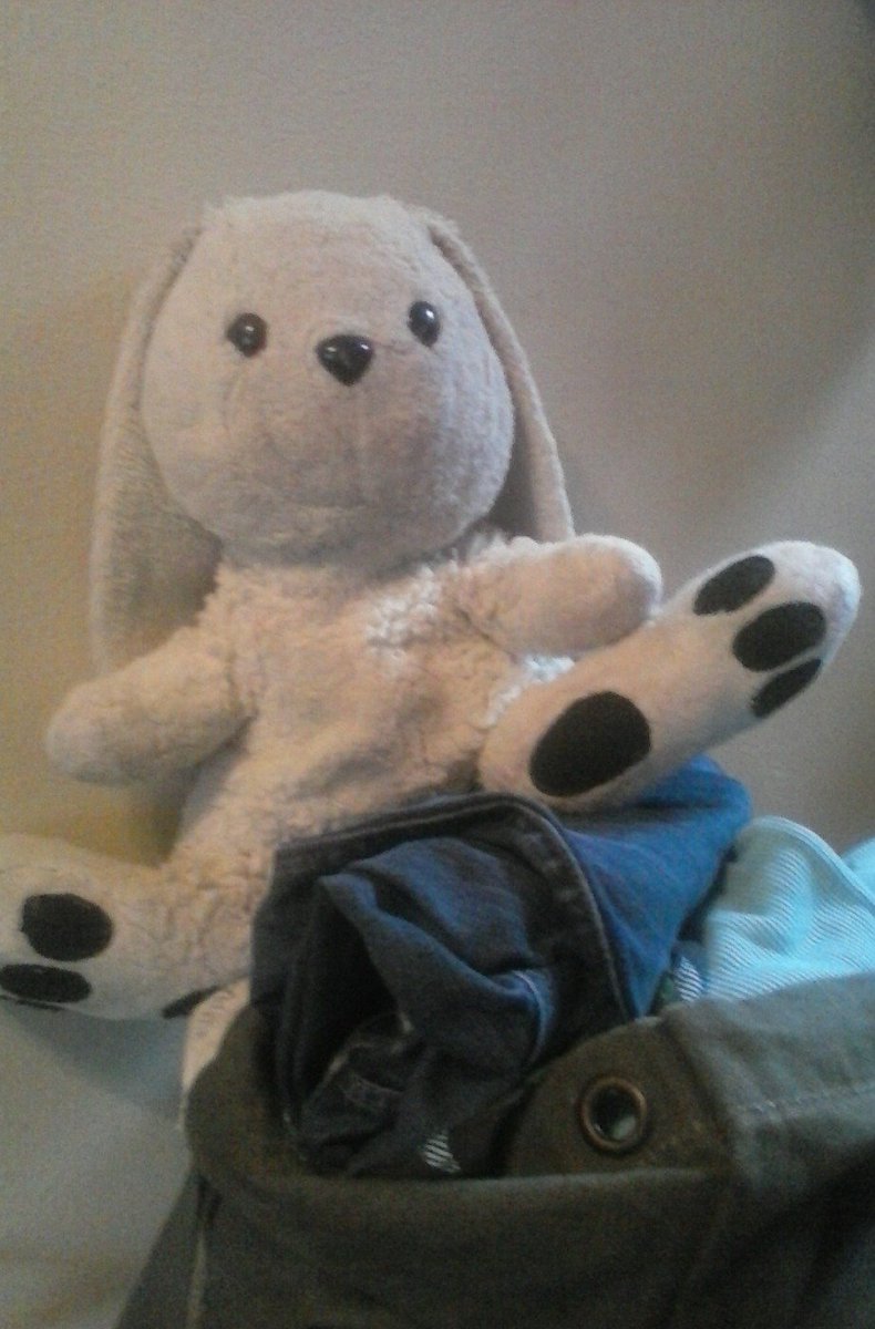EnergizedLife's tweet photo. Bunny. So long sweet friend. One adventure more than we both thought. I carried you to the end. #fuckedupfairytale https://t.co/5N7W6xxNMg