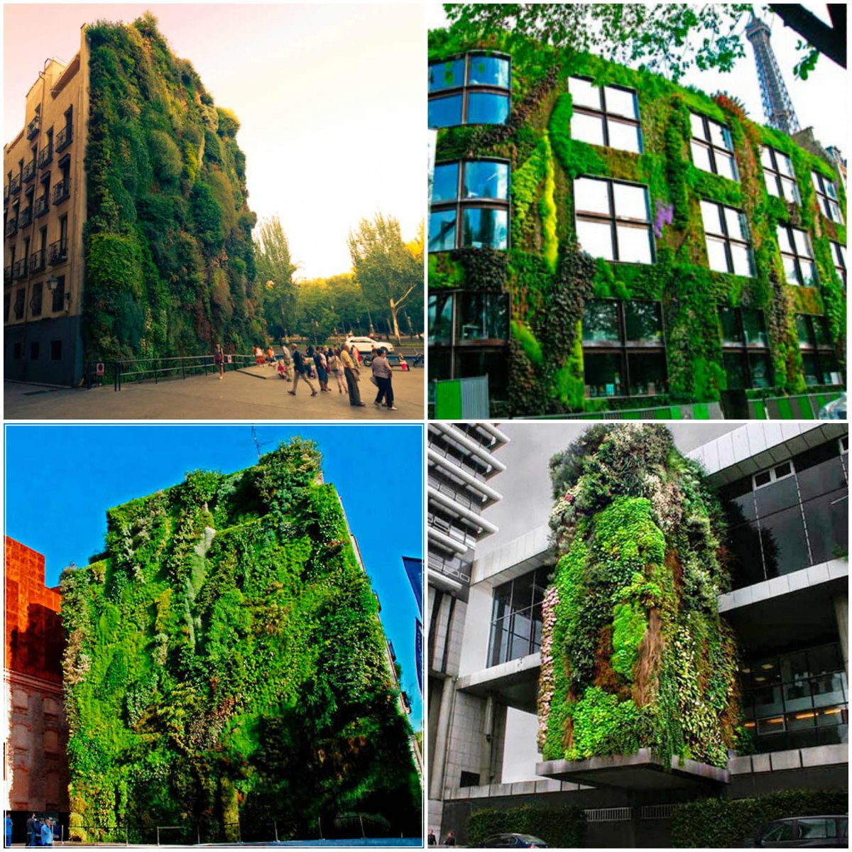 We love the concept of these vertical gardens in urban areas, stunning!