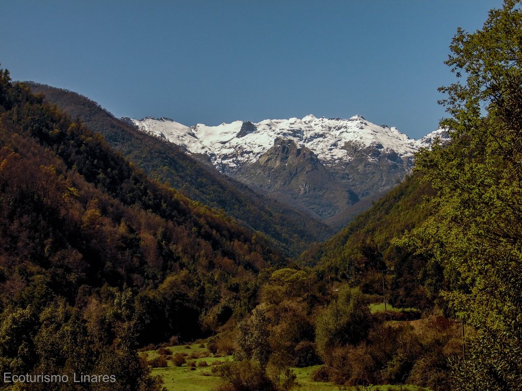 EcoturiLinares's tweet photo. Cajón de Pejerrey, Achibueno #ecoturismolinares #aventuraycultura #linareschile #maule #chile https://t.co/phuIUZSIyf