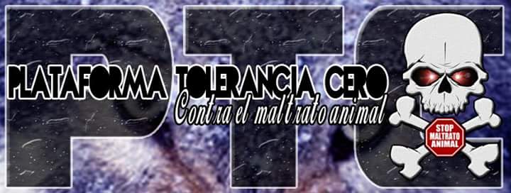 PTCAnimalista's tweet photo. PTC fan-Page On Facebook  👉 https://t.co/J8u2roY5Y9 Únete te esperamos 👍 https://t.co/mUvMWZYvLP