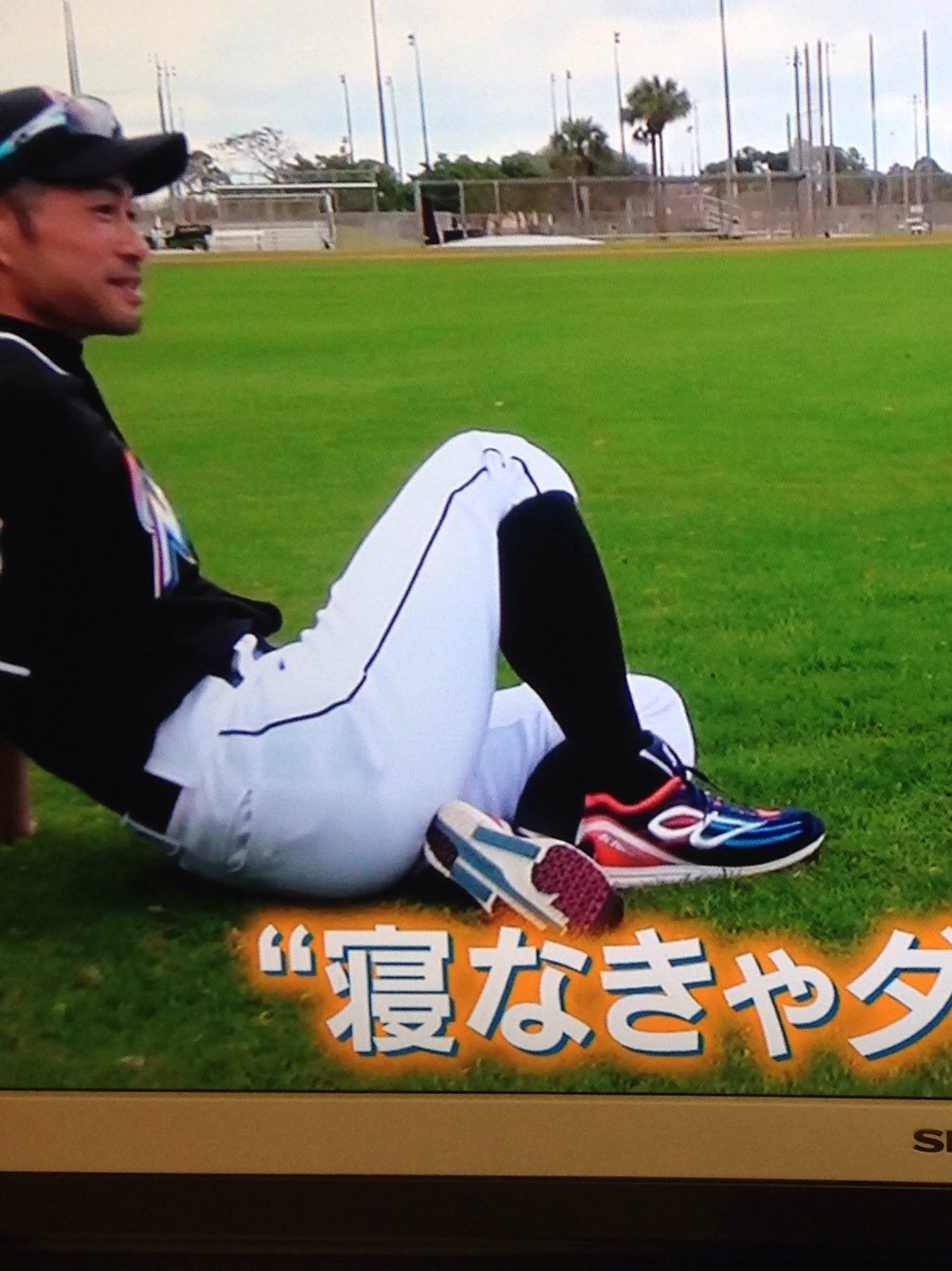 ビモロ・リミテッド、イチロー選手使用モデル BeMoLo ビモロ イチロー