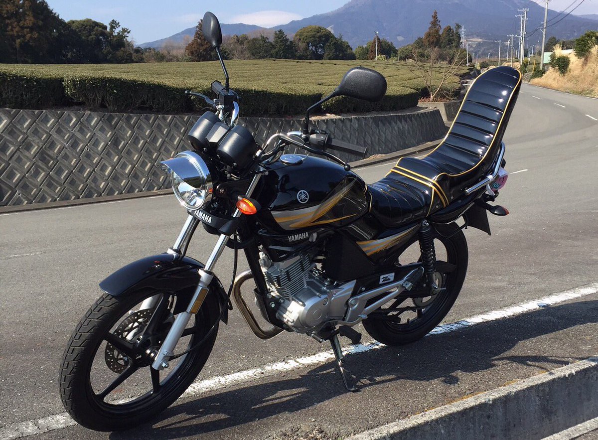 完売 on Twitter: "ybr125売ります 新車買って改造しました。20万に値下げしました。配送の手配は落札者様でお願いいたします