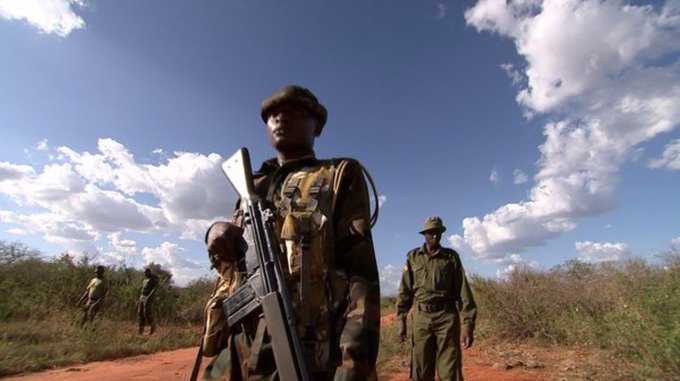 WCSNewsroom's tweet photo. Your WCS Global #Conservation Briefing for Tue. March 15: https://t.co/vA4h611paY #Poaching #Ivorycarving #elephants https://t.co/5JVNLY0aPU