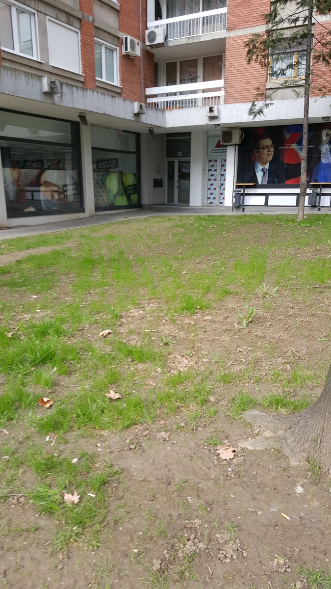tamodaleko's tweet photo. Došli botovi na ZVEZDARU.Taman pored prodavnice.
#botovi #sendvici https://t.co/4JFOTeIqGk
