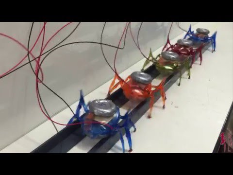 SubtleTV's tweet image. Team of µTug Microrobots Pulls a Car #microrobots #loadsharing #technology sbtl.tv/baabESM