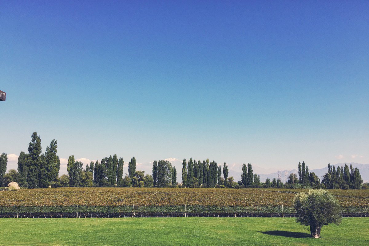 LunaticNik's tweet photo. I'm at Melipal - Viña &amp; Bodega in Lujan de cuyo, Mendoza https://t.co/Ap4nmRBypO https://t.co/9Q1PLrwxaO