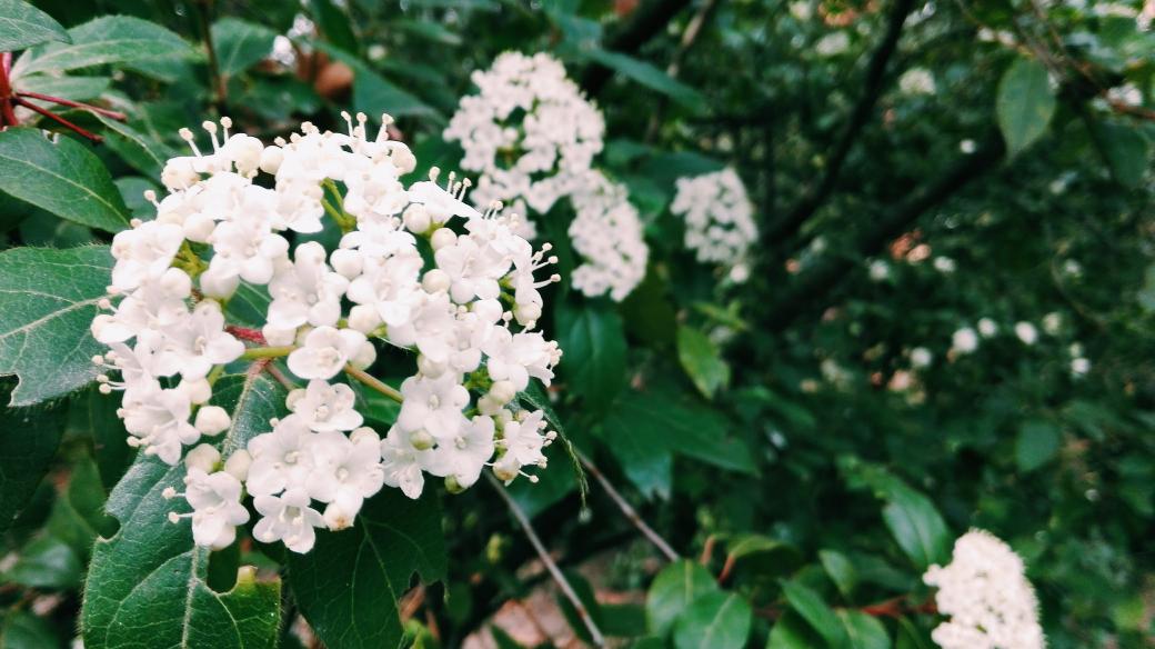 leire_fr's tweet photo. #montes4 🌼 https://t.co/cBuQzDpZEY