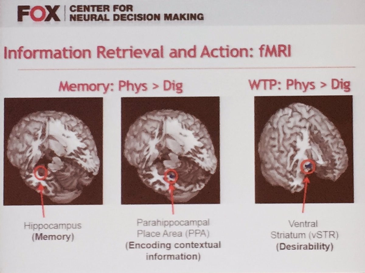 prisMKT1's tweet photo. #Physical vs #Digital formats Offer a #powerFul way #marketers optimize their #media #mix #Consummer #Data @dimoka https://t.co/hGVYx967AF