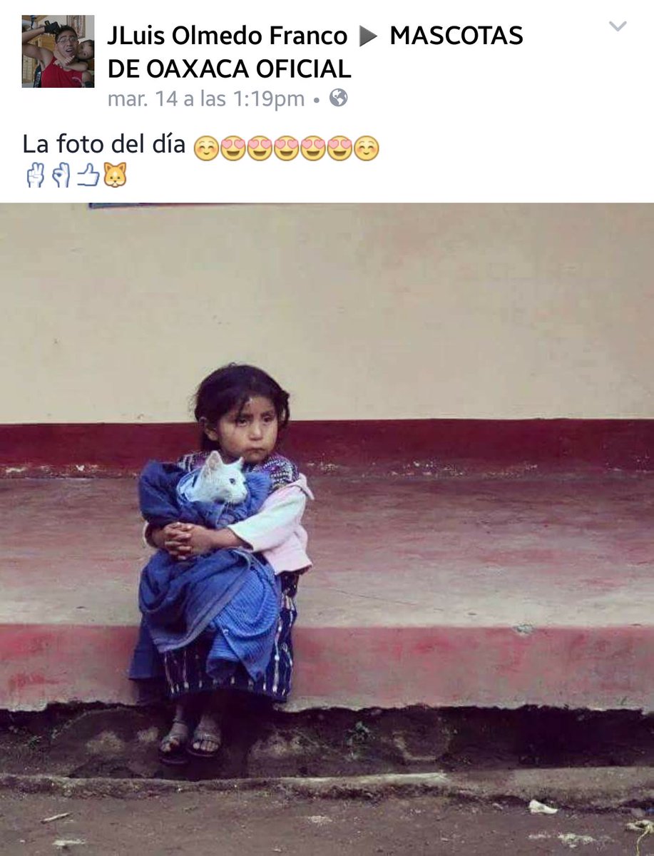RIVAC_OAX's tweet photo. #AmigoPeludoRivac
Son palabras! #Oaxaca
Excelente día seguidores https://t.co/3mtSOFHJlG