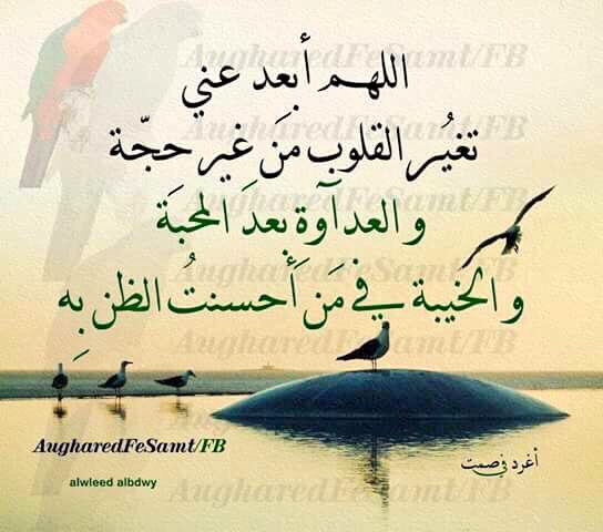 Twitter पर أمـيرهـ بـين الـنسـاء هذه هي الحياة شئت أم أبيت لن تكب ر د ون أن ت تألم ولن تتعلم دون أن تخطئ ولن تنجح دون أن تفشل قروب سفير للدعم Https T Co Enfm2qixlz