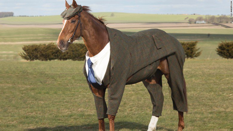 CNN's tweet photo. Racehorse dons three-piece tweed suit https://t.co/PnLWpcNIrf https://t.co/SJEnPiZjdg