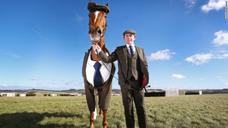 Racehorse dons three-piece tweed suit cnn.it/1Lox3sN