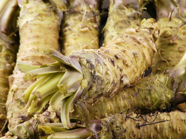 Japans groente en fruit met Rungis tijdens de Food Professional Day op 4 april 2016.
foodprofessionalday.nl/site/home/