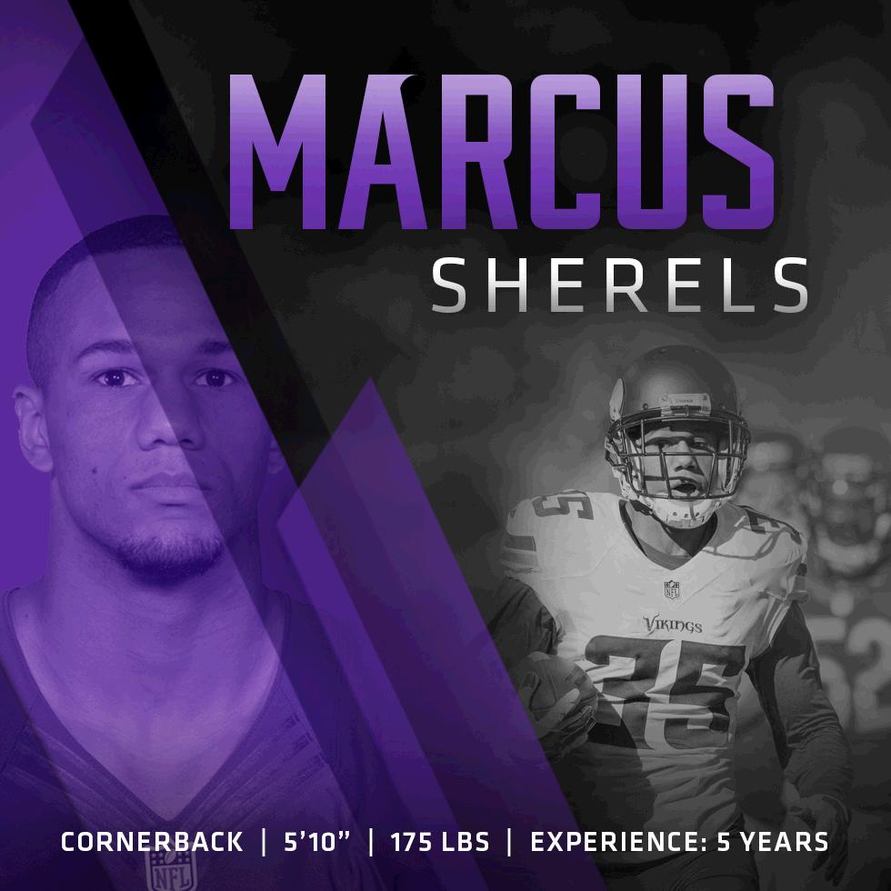 Vikings tweet picture