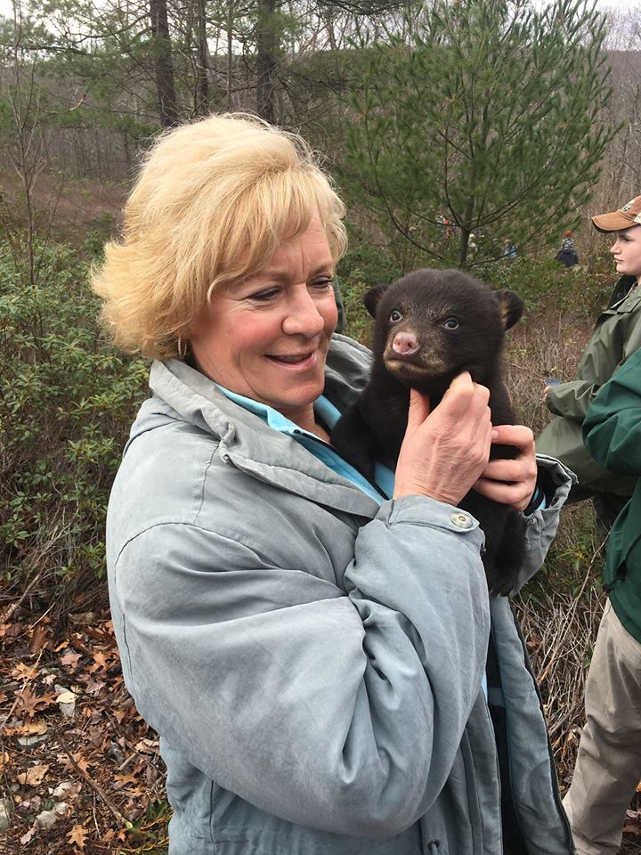 LisaBoscola's tweet photo. Had a great day learning from PA Game Commission biologist Mark Tement about bear biology, tagging and management. https://t.co/hX5AtheOXW