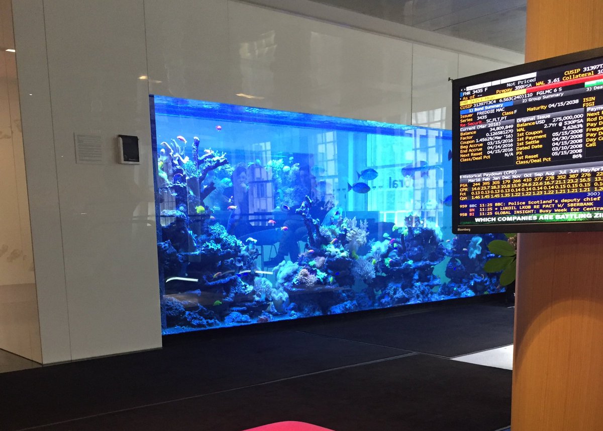 debsnat's tweet photo. at Bloomberg excited for #PlanFrm today on #FutureMobility fish tank a welcome sight https://t.co/oN9IXM0A46