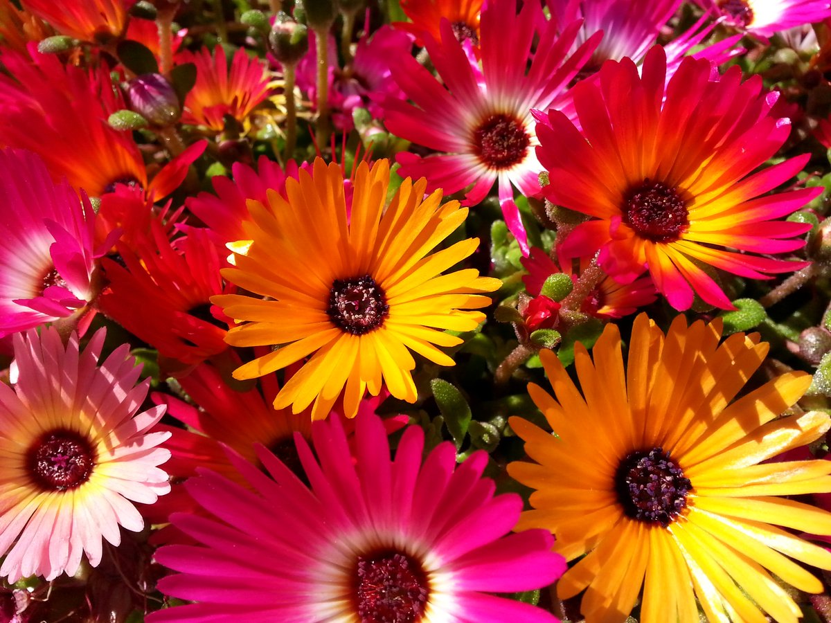 #Sporten in de buitenlucht i.c.m. een storting aan een #GoedDoel Jouw #voorjaar begint fleurig en dat wil je toch!?