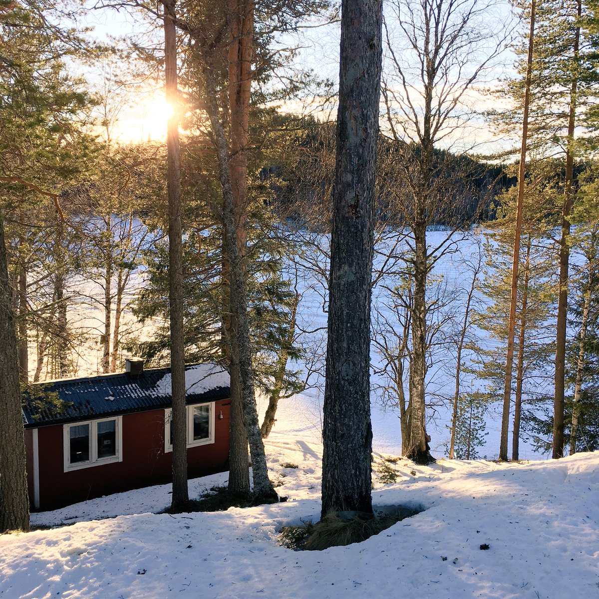 De laatste zonnestralen van de dag in Lapland. Genietmomentje...  #zweedslapland @VisitSwedenNL #granobeckasin
