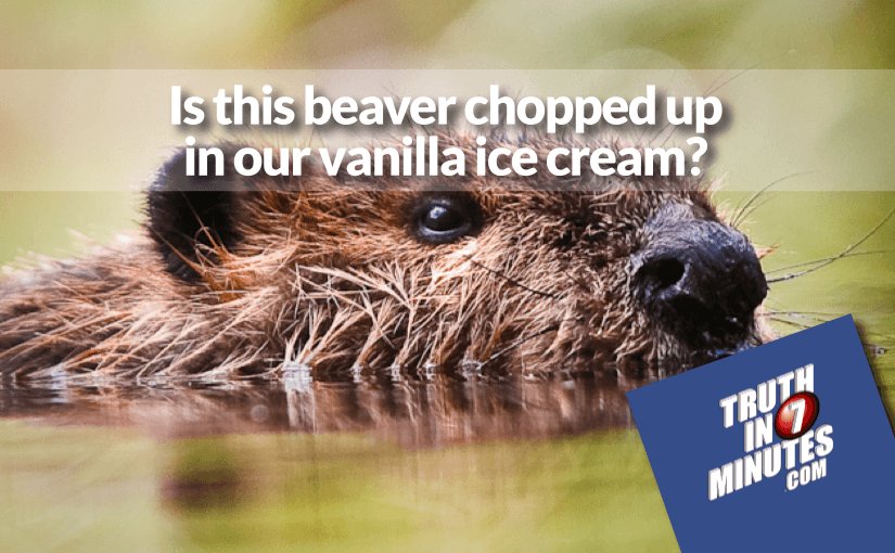 TruthIn7Minutes's tweet photo. Is this beaver chopped up in our vanilla ice cream? Check this out: https://t.co/X3gcXUC51Q (RT?) #organic #GMO https://t.co/Xyj9PJLdyx