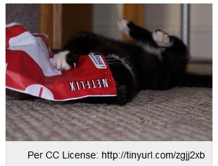 wakefieldchief's tweet image. It is #rainingOUTSIDE #catchup Katelyn gives us the #scoop on #Netflix shows: bit.ly/1QVyejq #warriornation