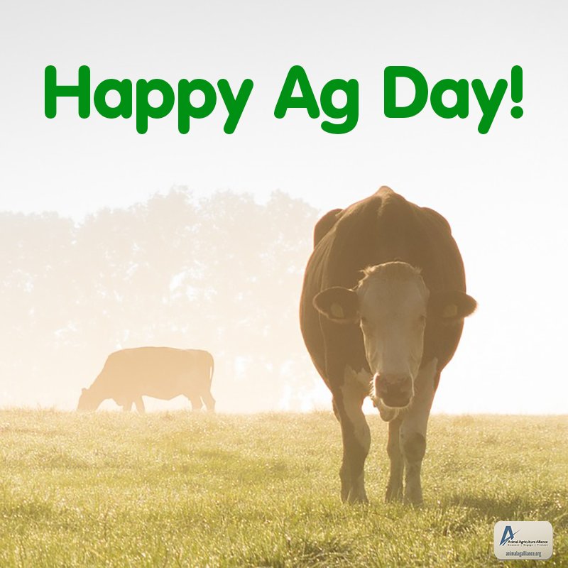 animalag's tweet photo. Happy #AgDay2016! How are you celebrating Ag Day? https://t.co/W58TrtGS3U