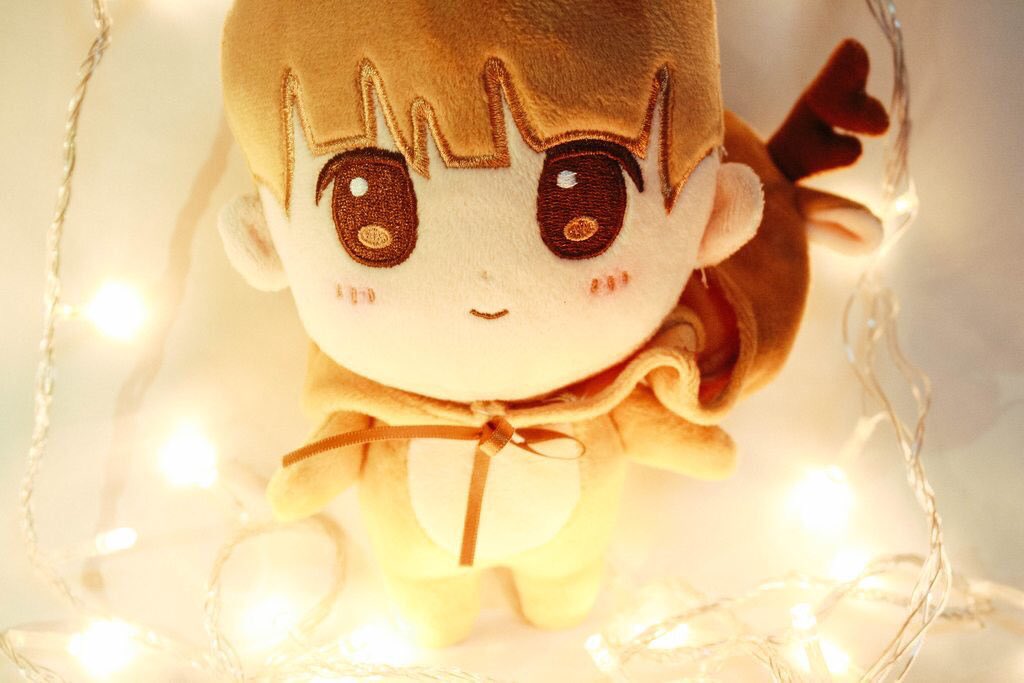 ♡deerLudoll tweet media