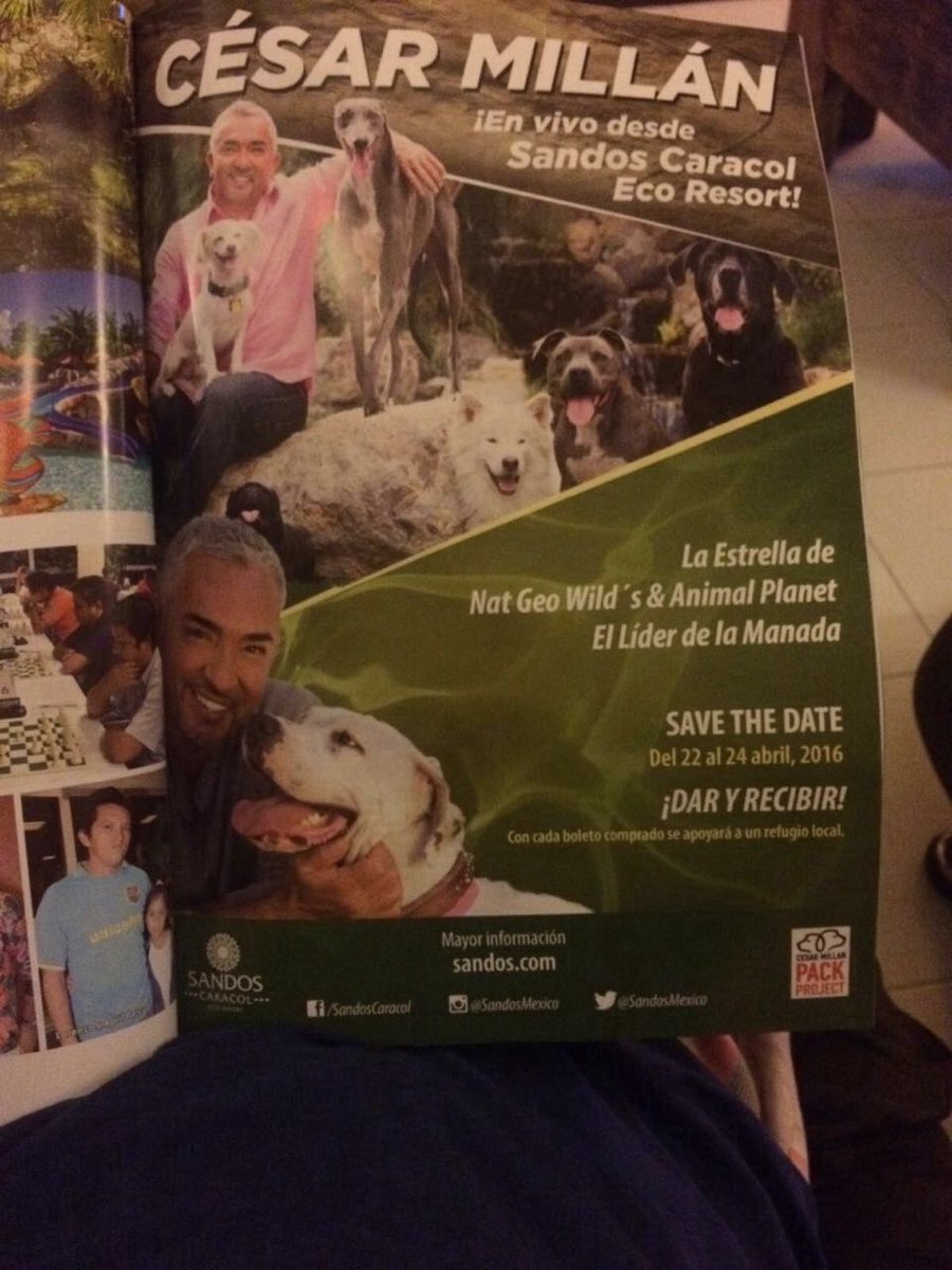 ivan estrella gomez tweet media